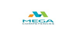 MEGACOMETENCES Consulting